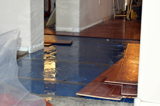 Professional Basement Flood Cleanup technician working in Blakeslee, OH